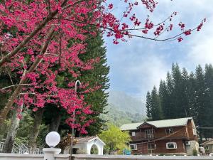 Quadruple Room with Mountain View (Pet friendly)