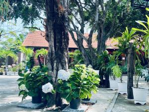 Bungalow Gia Đình (Family Bungalow)