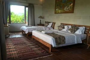 Phòng Suite Gia đình (Family Suite)