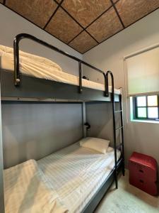 Phòng gia đình với phòng tắm riêng. (Family Room with Private Bathroom)