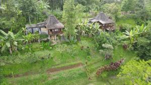 Biệt Thự Nhìn Ra Vườn (Villa with Garden View)