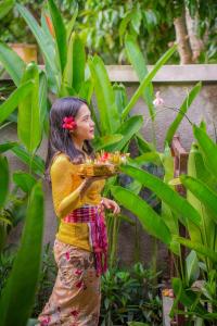 Phòng Có Giường Cỡ Queen Nhìn Ra Hồ Bơi (Queen Room with Pool View)