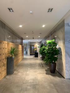Căn Hộ 2 Phòng Ngủ (Two-Bedroom Apartment)
