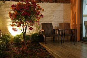 Studio Nhìn Ra Vườn (Studio with Garden View)