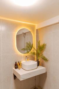 Căn Hộ Studio (Studio Apartment)