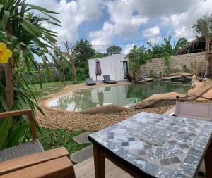 Studio Nhìn Ra Hồ Bơi (Studio with Pool View)