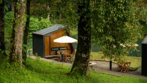 Phòng Tiêu chuẩn Có quạt Nhà tắm chung (Standard Shared Bathroom)