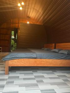 Căn Hộ 1 Phòng Ngủ (One-Bedroom Apartment)