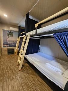 Giường Tầng Trong Phòng Ngủ Tập Thể Cho Nam Và Nữ (Bunk Bed in Mixed Dormitory Room)