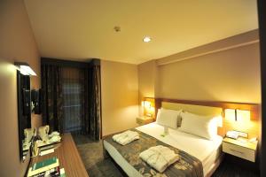 Deluxe Double Room room in Hotel Olimpiyat