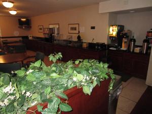 Hospitality Inn - image 1