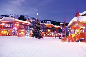 Stellar\'s Rest at Vance Creek Hotel