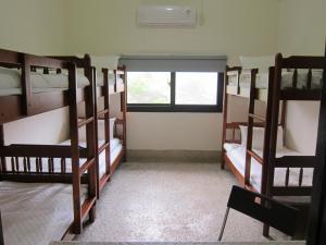 Phòng Tập thể dành cho cả nam & nữ 6 giường (6 - Bed Mixed Dormitory)