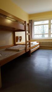 Single Bed in 5-Bed Female Dormitory Room room in Jugendherberge-Berlin-International