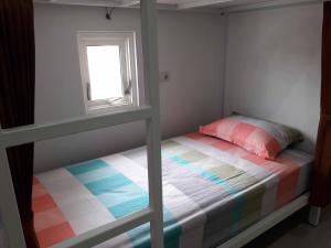Giường Tầng Trong Phòng Ngủ Tập Thể Cho Nam Và Nữ (Bunk Bed in Mixed Dormitory Room)