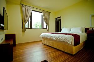 Phòng hướng núi có giường King (Mountain View King)