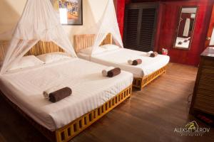 Phòng Deluxe Đôi Với 2 Giường Đôi (Deluxe Double Room with Two Double Beds)