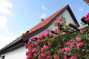 Haus Massalski Wernigerode Germany J2ski
