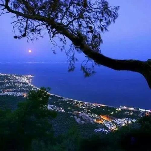 This photo about Zeytin Hotel shared on HyHotel.com