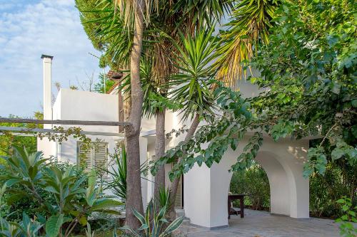ทัศนียภาพภายนอกโรงแรม, Sea front Villa in แคลามาทา ทัศนียภาพภายนอกโรงแรม, Sea front Villa in แคลามาทา