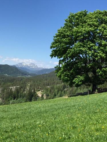 Cerca de lugares turísticos, Løngdal in Tuddal Cerca de lugares turísticos, Løngdal in Tuddal