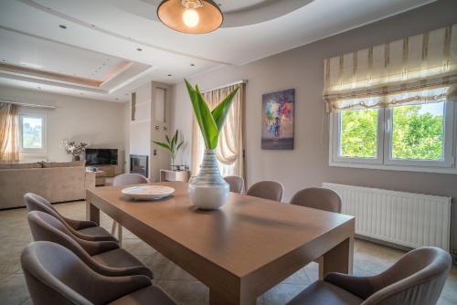 المرافق, Ostria Luxury Villa in Ploumari المرافق, Ostria Luxury Villa in Ploumari