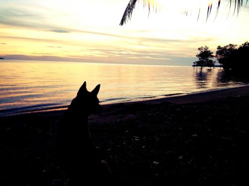 ブレスド レジデンス コ チャーン14