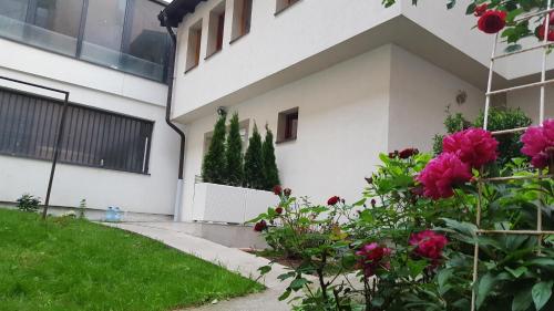 Apartment Dalia, Sarajevo Apartment Dalia, Sarajevo