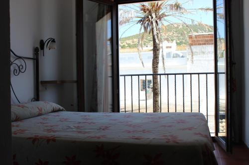 This photo about Hostal Jadraza shared on HyHotel.com