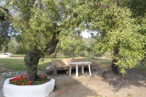 This photo about Lagomandra House shared on HyHotel.com