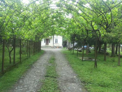 This photo about Guesthouse Achi shared on HyHotel.com