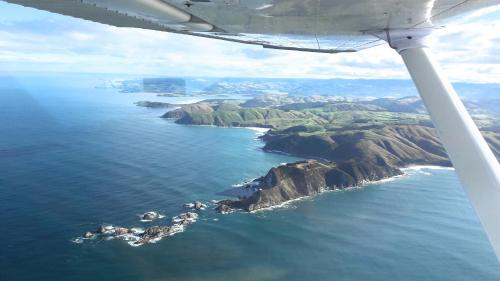 酒店活動, Kaka Point Spa Accommodation - Catlins in 卡卡點 酒店活動, Kaka Point Spa Accommodation - Catlins in 卡卡點