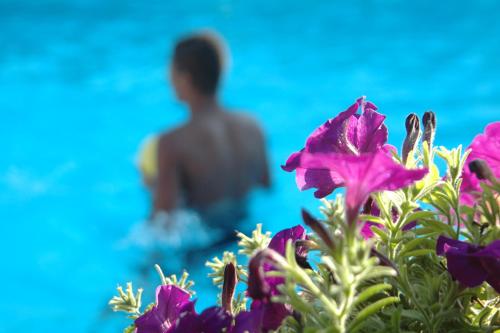 This photo about Villa Giusy B&B shared on HyHotel.com