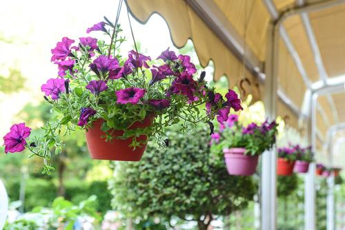 Hotel Terminus Fiuggi
Hotel Terminus Fiuggi