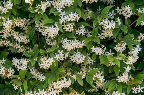 This photo about Aparthotel Bardon shared on HyHotel.com