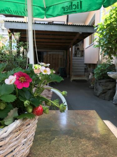 Kert, Hotel Restaurant Alt Laubach in Laubach Kert, Hotel Restaurant Alt Laubach in Laubach