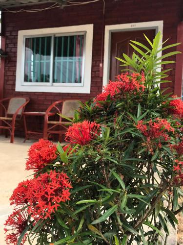 Sea Sky Bungalow, Sihanoukville Sea Sky Bungalow, Sihanoukville