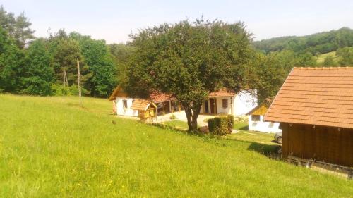 Pintu masuk, Pagony Pihenő Farm (Pagony Piheno Farm) in Orfalu Pintu masuk, Pagony Pihenő Farm (Pagony Piheno Farm) in Orfalu