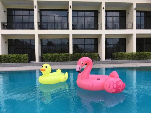 Swimming pool, Takhun Mountain View in Ban Ta Khun Swimming pool, Takhun Mountain View in Ban Ta Khun