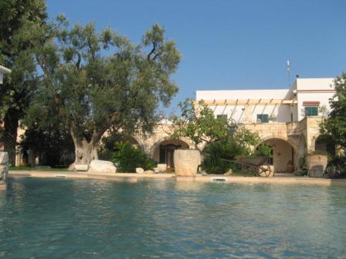 Swimming pool, Masseria Asciano in Ostuni Swimming pool, Masseria Asciano in Ostuni