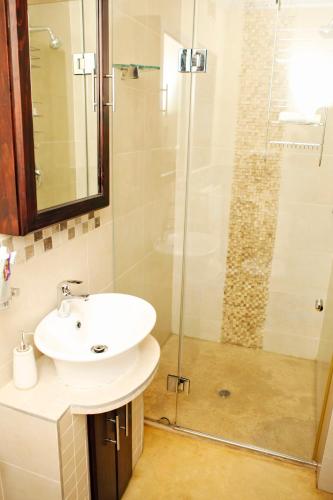 Shower, Aloes No.21 in Kingsburgh Shower, Aloes No.21 in Kingsburgh