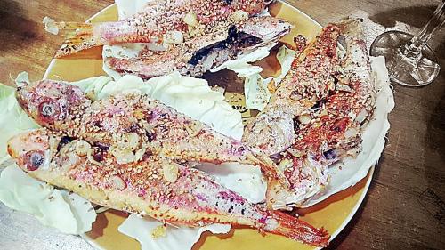 This photo about Dar Kamy shared on HyHotel.com