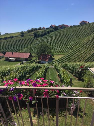 Winzerhof Familie Klockl in Klöch Winzerhof Familie Klockl in Klöch