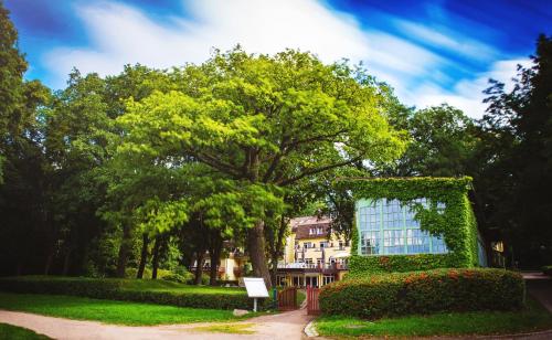 ทางเข้า, Kurhaus am Inselsee in กึสโทรว์ ทางเข้า, Kurhaus am Inselsee in กึสโทรว์