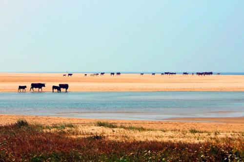 This photo about Hostal Ferreira shared on HyHotel.com