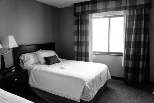 在meiguo.com看到的Scandia Hotel的介绍图片