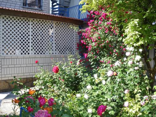 Guest house Yuga
Guest house Yuga