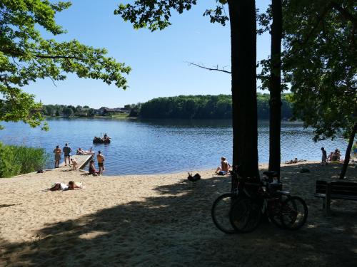 Beach, Eurocamp Spreewaldtor in Markische Heide Ot Leibchel Beach, Eurocamp Spreewaldtor in Markische Heide Ot Leibchel