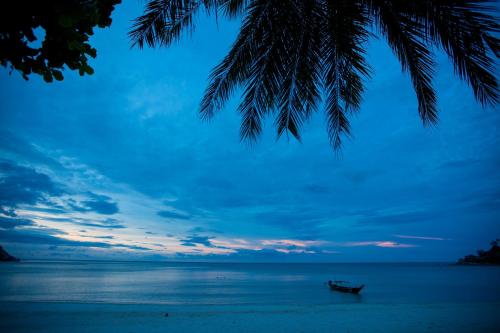 ボトル ビーチ 1 リゾート20