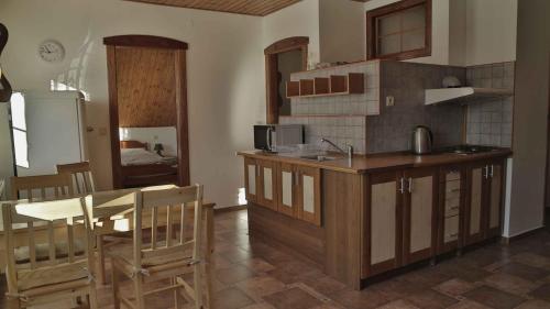Kitchen, Penzion Ostruznik in Ostruzna Kitchen, Penzion Ostruznik in Ostruzna